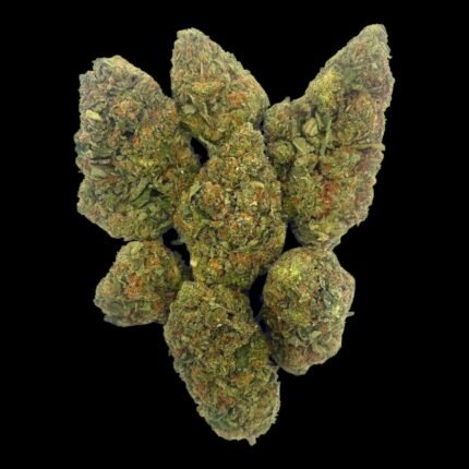 G41 Bangerz 1 lb premium bulk indoor cannabis flower