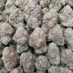 Buy Blueberry Dum Dumz 1 lb AAA Online | Premium AAA Indoor Flower