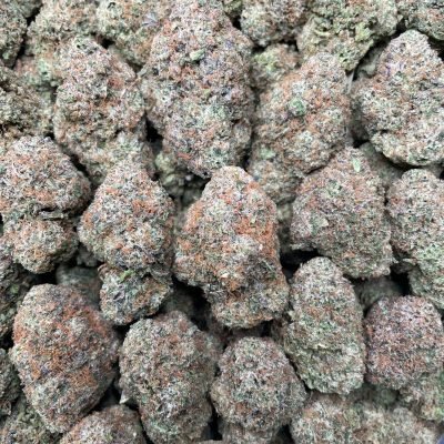 Buy Blueberry Dum Dumz 1 lb AAA Online | Premium AAA Indoor Flower